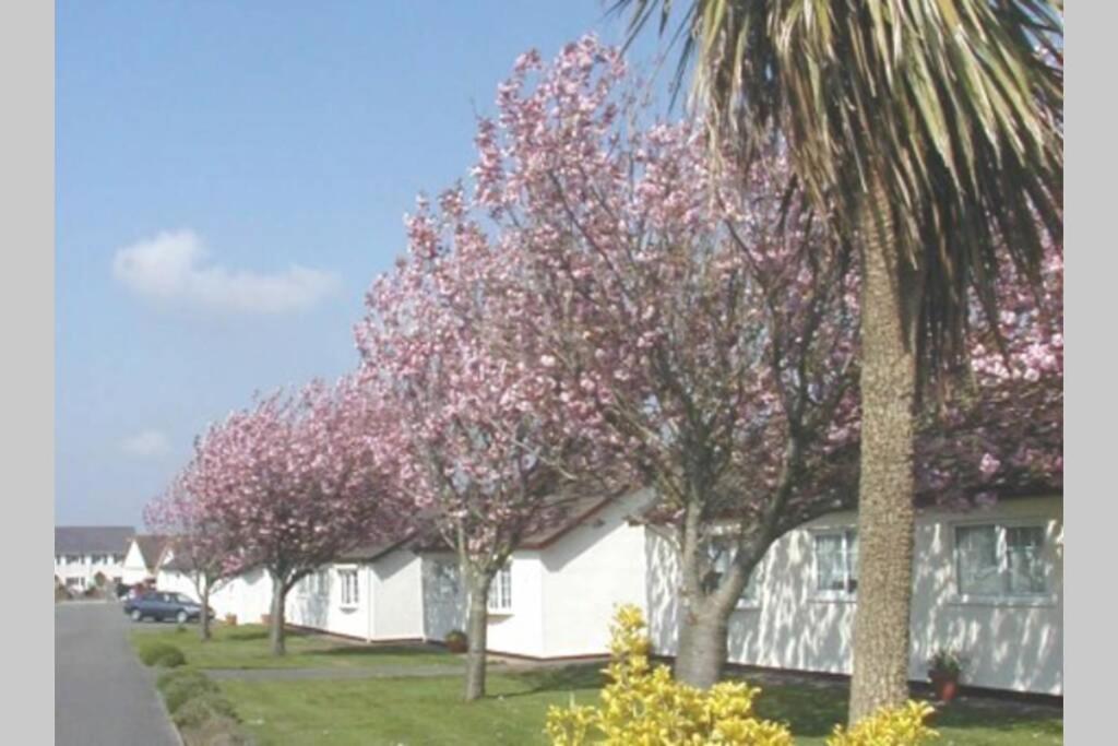 Villa Perfect For The Family And Beaches - Gower Cwtch à Swansea Extérieur photo
